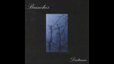 branches - branches
