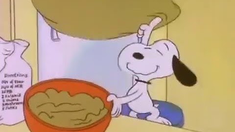 史努比的故事 Snoopy's Story - Overly Civilized Dog - 天天要闻