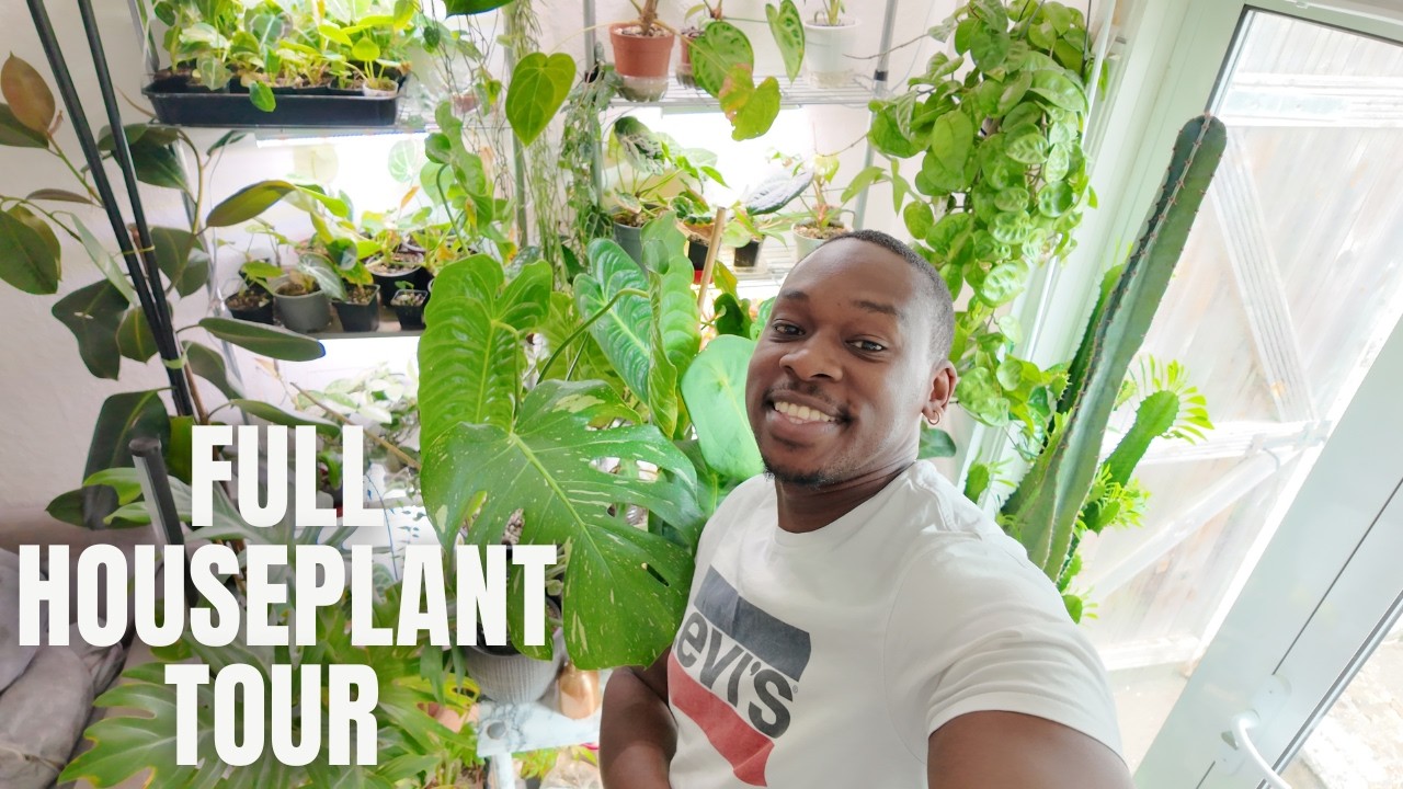 Complete Houseplant Tour 2025 🪴 | Celebrating 10K Plant Lovers!
