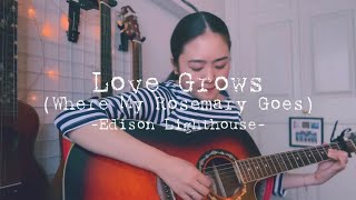 Love Grows (Where My Rosemary Goes) - Edison Lighthouse(Cover +Lyrics/和訳) | Leigh-Anne’s Song Diary