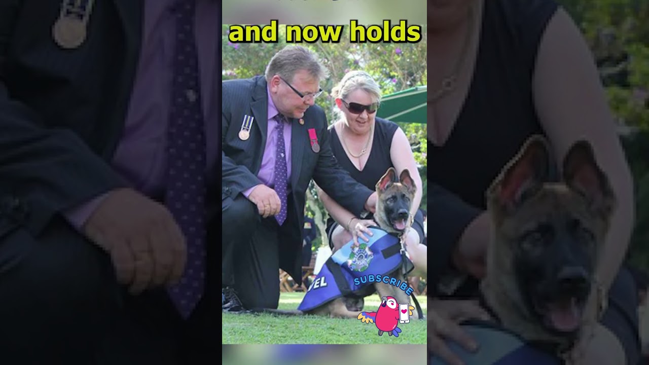 They fired this dog from his job because he was too friendly.