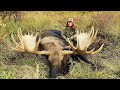 Alaskan girl shoots giant moose  amazing  stuck n the rut 138