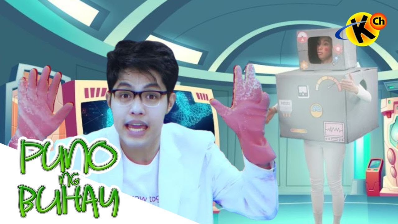 Biodiversity and Evolution: The Evidences | Puno ng Buhay