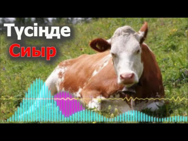 Аяқ жалау және сандалдар бейне