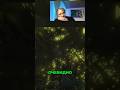 Вперед сквозь пещеру Троглодитов. Почему здесь срываются? #games #cairn  #gameplay