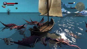 Witcher 3 funny bug underwater boat