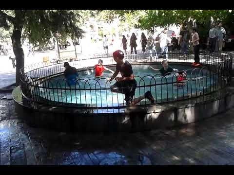 ზაფხულის პირველი დღე, ბუკიას ბაღში.