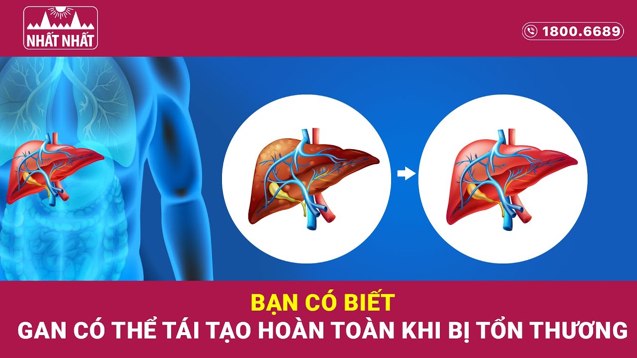 Khả năng tái tạo của lá gan bị tổn thương như thế nào? Bạn có biết cách ...
