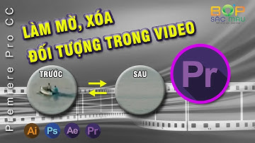 Xóa Làm Mờ Vật Thể Trong Video Bằng Premiere Pro CC | Học Dựng Phim Cơ Bản | Bốp Sắc Màu