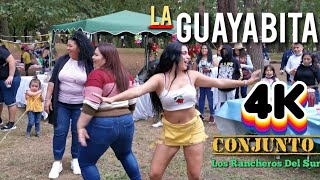 La Guayabita Tarde De Baile Conjunto Los Rancheros Del Sur