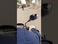 🏍️ USA Street Bike Ride 🔥 Speed & Freedom Vibes 🇺🇸 #shorts #bikelife #viral