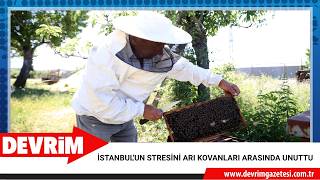 İSTANBUL'UN STRESİNİ ARI KOVANLARI ARASINDA UNUTTU