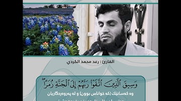 قرآن كريم بصوت رعد محمد الكردي | حالاتواتس اب دينية - سورة الزمر