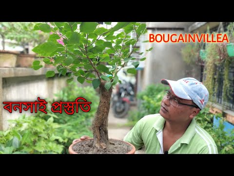 ভিডিও: Impatiens বংশবিস্তার: Impatiens কাটিংয়ের শিকড় কিভাবে