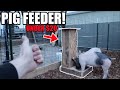 DIY Gravity HOG FEEDER for under $20!!!