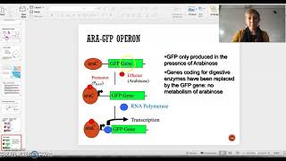pGlo experiment introduction