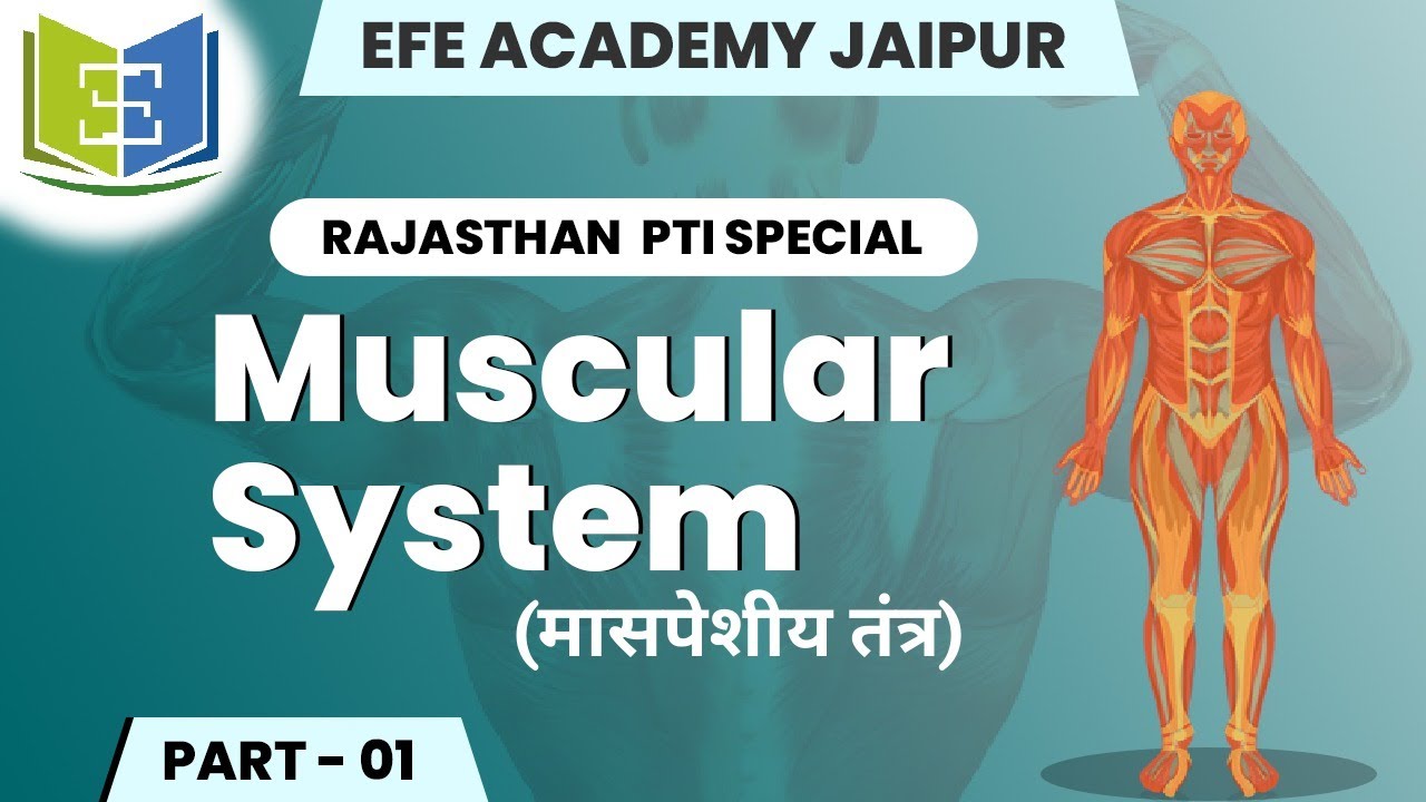 मासपेशीय तंत्र Muscular System  