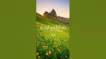 وما ظلمناهم ولكن كانوا هم الظالمين(تلاوة من سورة الزخرف )🌹قرآن كريم 🌹القارئ ياسر الدوسري