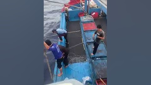 Đánh bắt cá biển #đánhbắthảisản