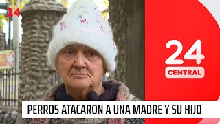 Habla dueña de 13 perros que atacaron a una madre y su hijo