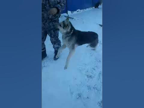 Мухич - YouTube