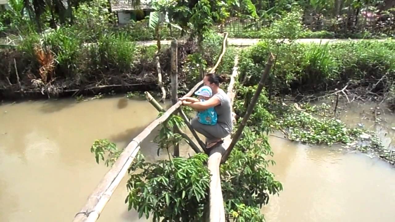 Vietnam 512 monkey bridge YouTube