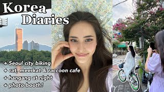 KOREA DIARIES ☁️ meeting our internet friend, Seoul city biking, cat cafe (+ meerkats & raccoons!)