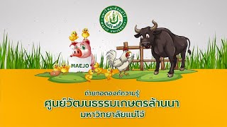 ถ่ายทอดองค์ความรู้ศูนย์เรียนรู้วัฒนธรรมล้านนา มหาวิทยาลัยแม่โจ้