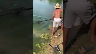 Sports Performance Dundee falls into lake while netting MONSTER blue cat worth $800 #IndyLakes