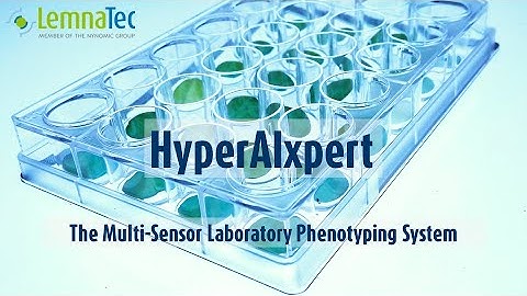 Phenotyping with LemnaTec HyperAIxpert