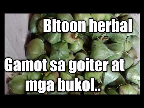 Video: Paano Mag-litrato Ng Mga Bituin