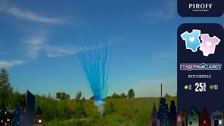 БСП1502512 Гендерный салют (F) Blue smoke with crackling
