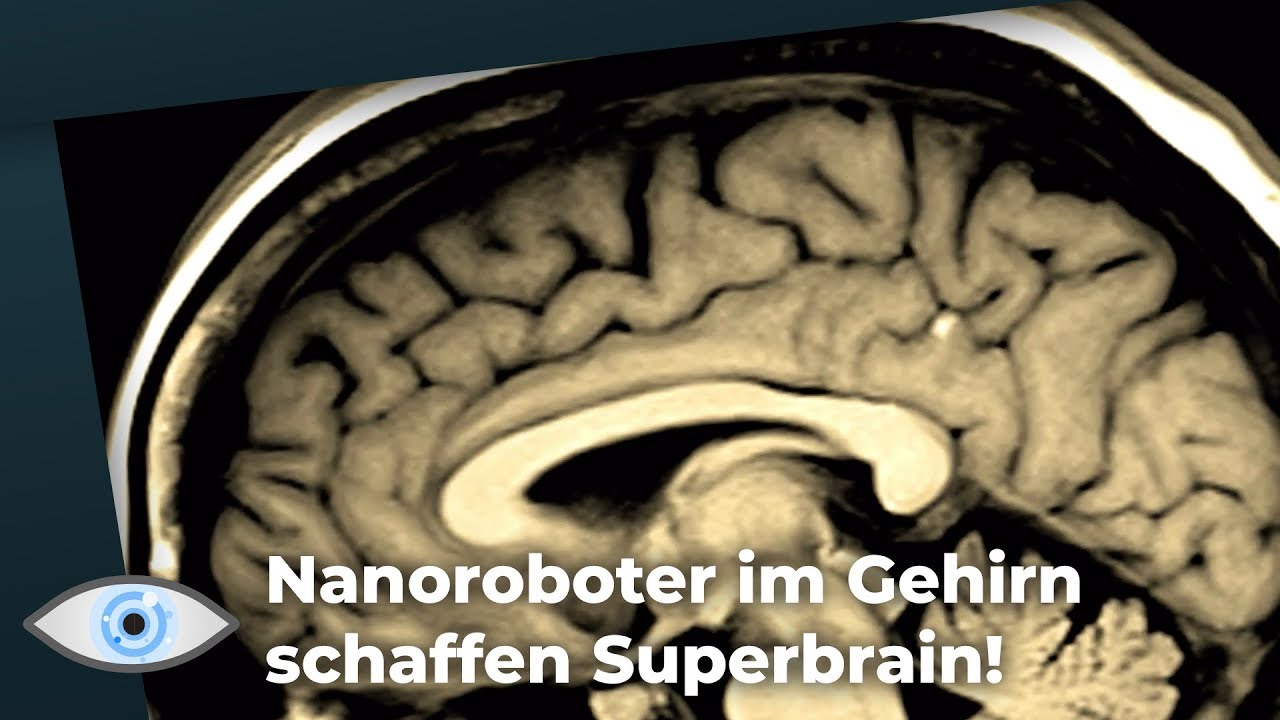 New Werden unsere Gehirne bald mit dem Internet verbunden? Die Menschheit als Superbrain!