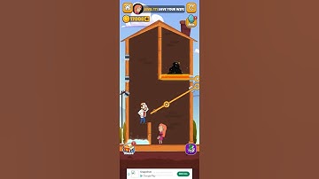 Home Pin Game Play Walkthrough Level 171