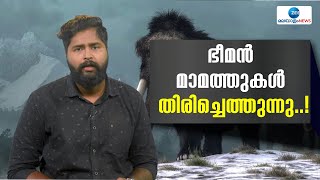 Mammoth Coming Back | മാമ്മത്തുകളെയും  ഭൂമിയിലേക്കു തിരികെയെത്തിക്കാനുള്ള ഗവേഷണം സജീവമാണ്