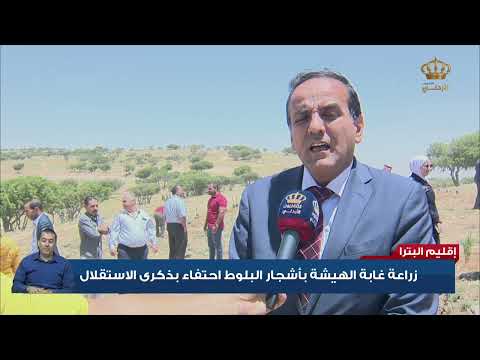 البترا زراعة غابة الهيشة بأشجار البلوط إحتفاء بذكرى الإستقلال