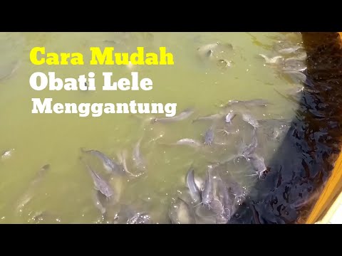 Video: Adakah va telah menggantung copay?