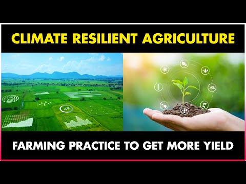 Sustainable Farming 