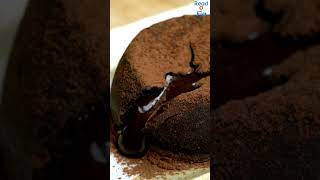 Delicious Chocolava Cake Trending #shortsviral #chocolavacake #satisfyingvideo