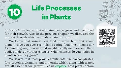 Life Processes in Plants , class 7 science new book chapter 10 complete solution with explanation 