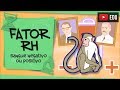 Quiz sobre o Fator RH e Transfusões de Sangue