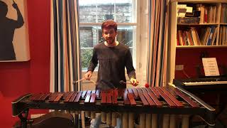 Download Lagu Fireflies (Owl City) - Marimba/Vocal Cover MP3