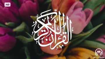 قرآن كريم بصوت وديع اليمني | حالات واتس اب دينية | مقاطع دينية قصيرة