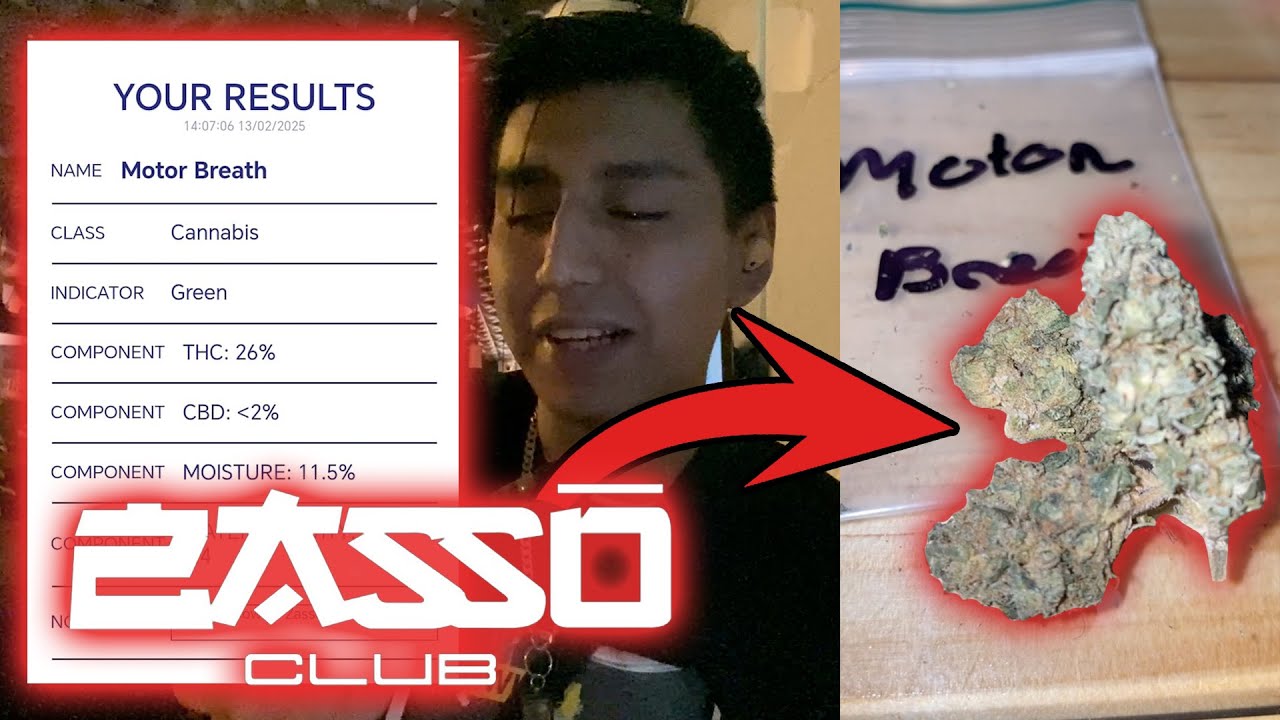 Motor Breath (ES) Zasso Review 