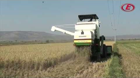 EICHER 557 – Tractor Mounted Harvester Demo