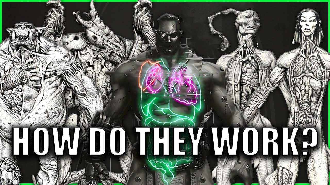 The Anatomy of Each Warhammer Race EXPLAINED By An Australian | 40k ...