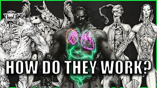 The Anatomy Of Each Warhammer Race Explained By An Australian 40K Lore