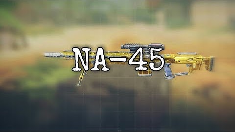 NA-45 | Daily Gunsmith 15