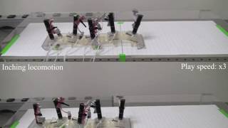 Watch a caterpillar robot walk | Science News screenshot 2