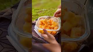 Picnic Day In Boston #asmr #calm #nature